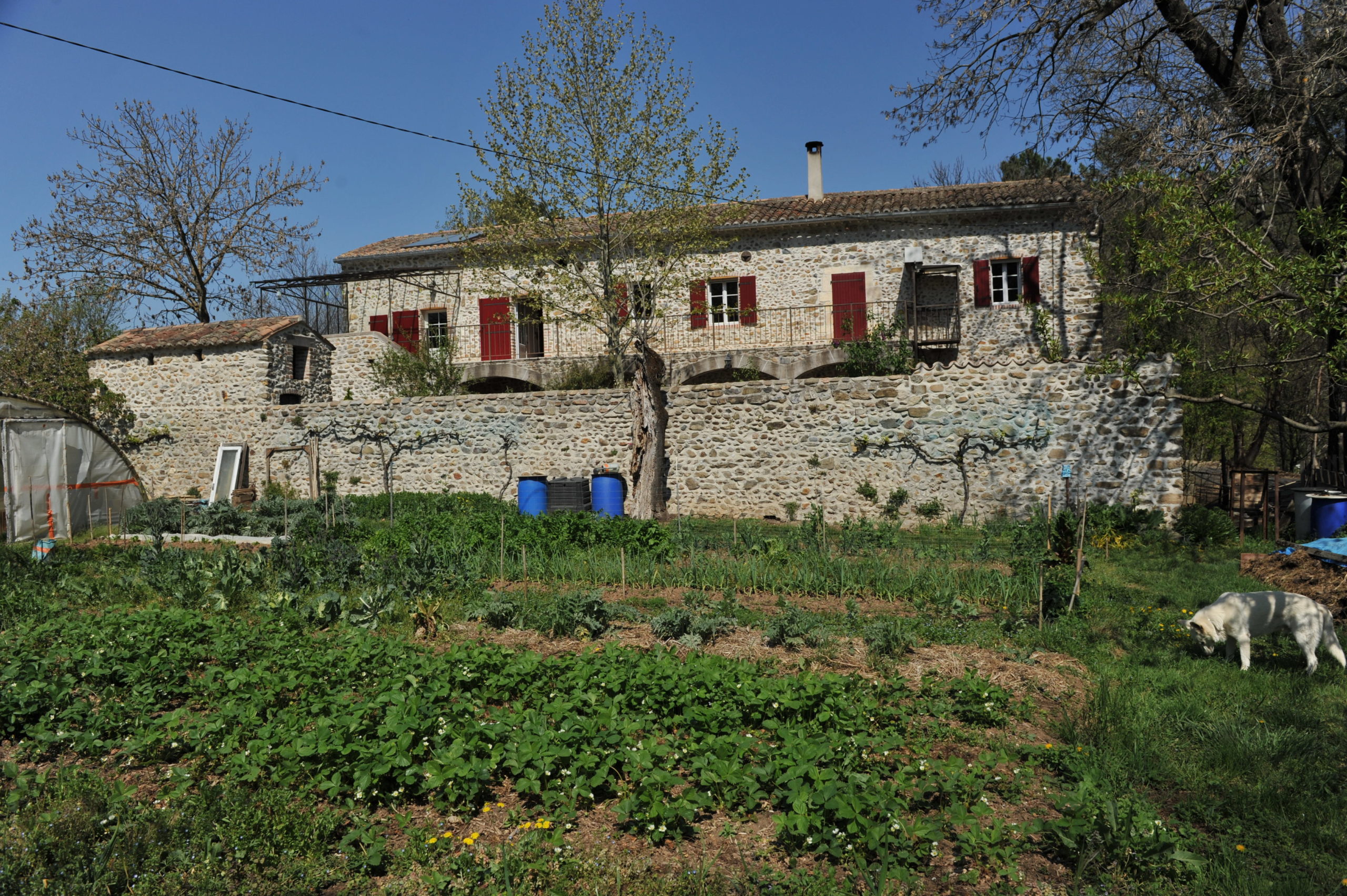Image 6